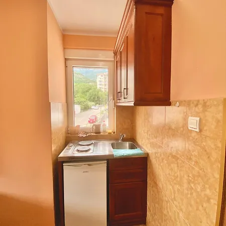 Apartman Vila Varajic *